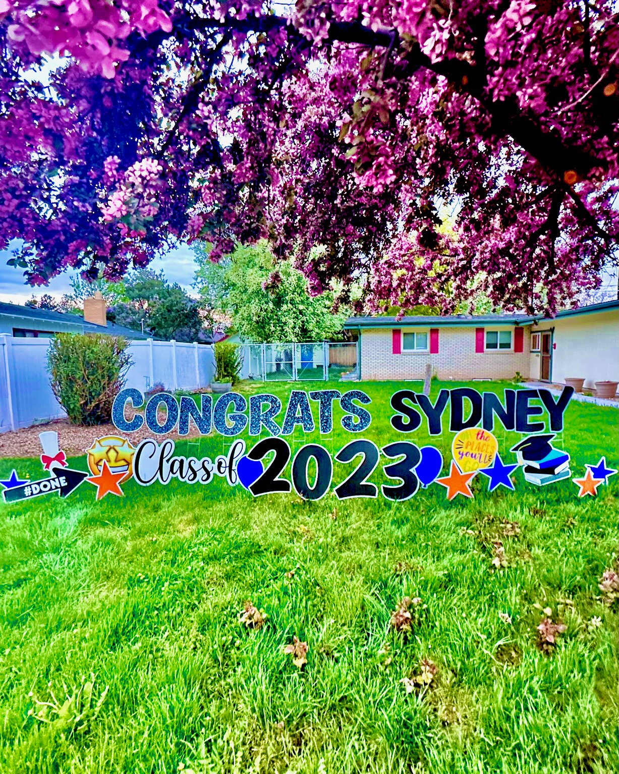 Congrats Sydney graduation yard card display with class year letters and cap art in Boise Idaho
